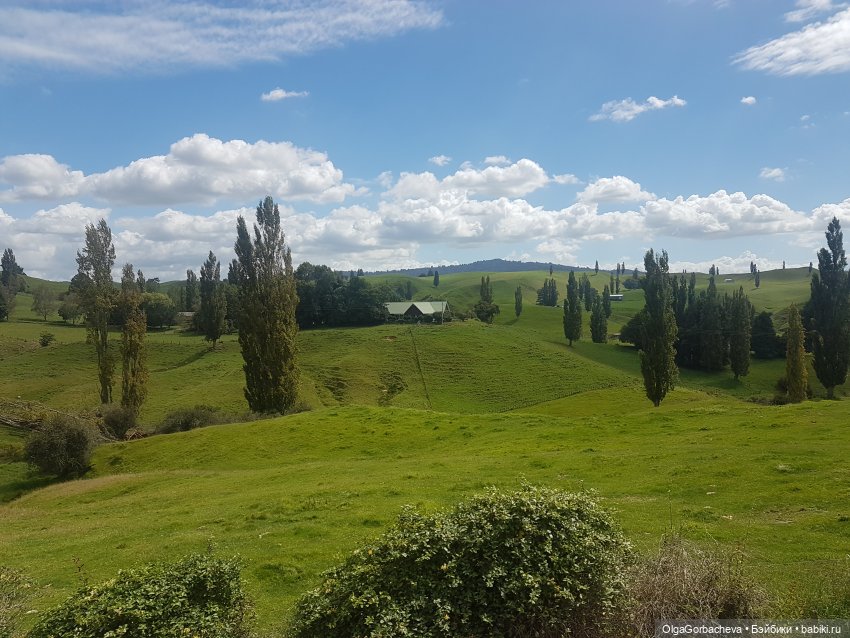 О Новой Зеландии — Туризм и путешествия: фотоотчеты из поездок