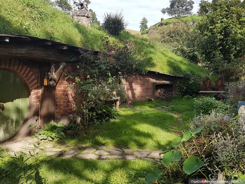 О Новой Зеландии — Туризм и путешествия: фотоотчеты из поездок