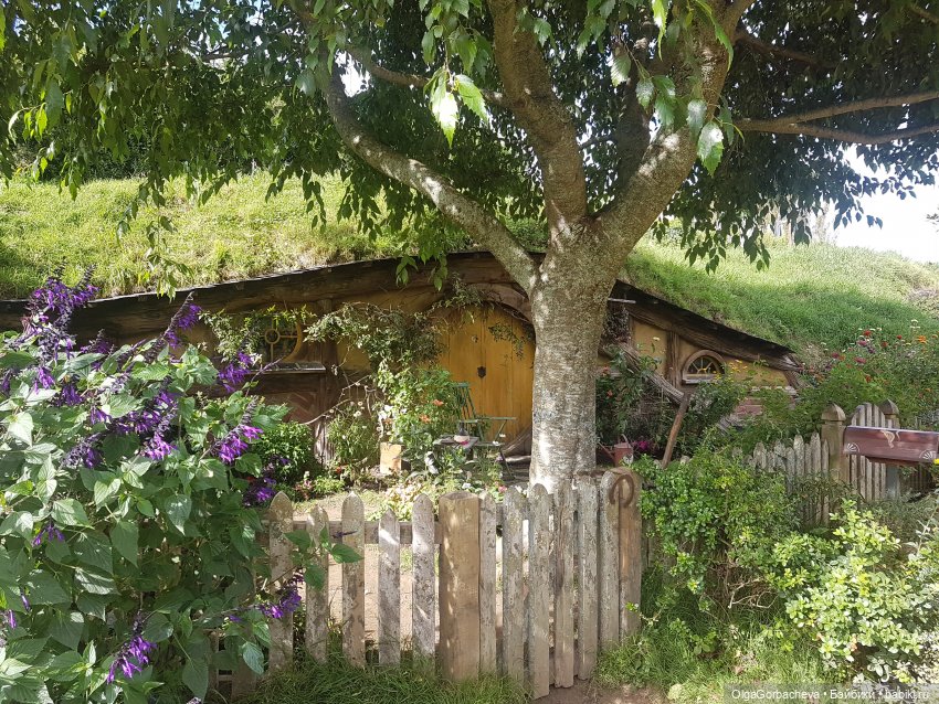 О Новой Зеландии — Туризм и путешествия: фотоотчеты из поездок (фото 9)