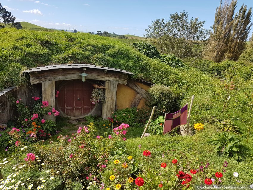 О Новой Зеландии — Туризм и путешествия: фотоотчеты из поездок