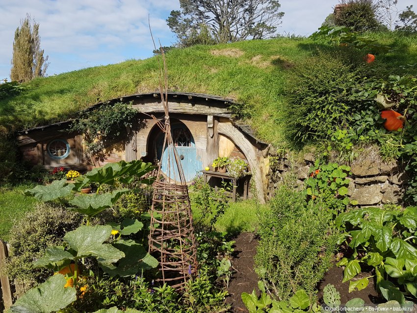 О Новой Зеландии — Туризм и путешествия: фотоотчеты из поездок (фото 10)