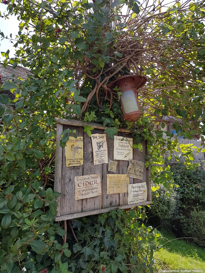 О Новой Зеландии — Туризм и путешествия: фотоотчеты из поездок