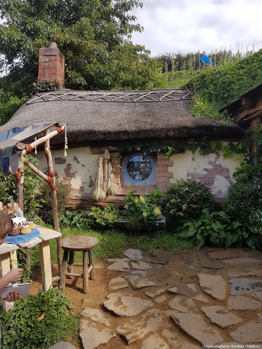 О Новой Зеландии — Туризм и путешествия: фотоотчеты из поездок