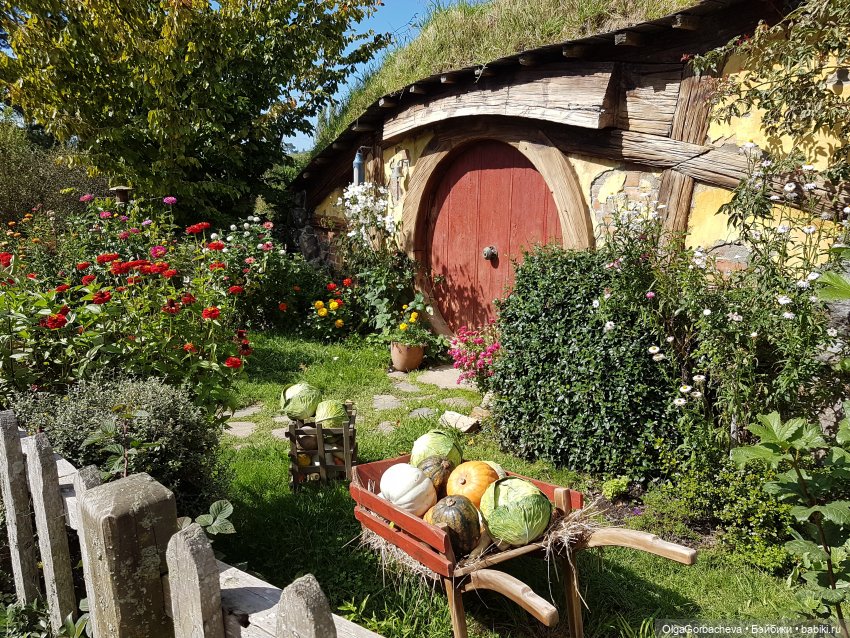 О Новой Зеландии — Туризм и путешествия: фотоотчеты из поездок