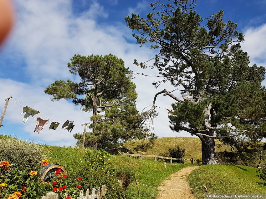 О Новой Зеландии — Туризм и путешествия: фотоотчеты из поездок
