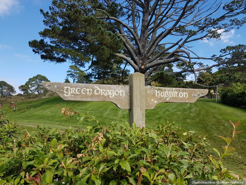 О Новой Зеландии — Туризм и путешествия: фотоотчеты из поездок