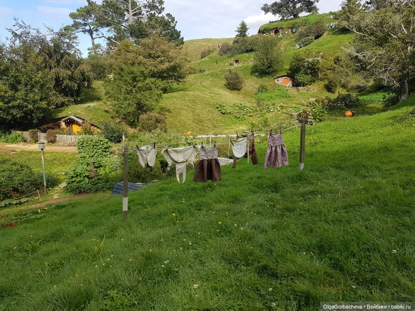 О Новой Зеландии — Туризм и путешествия: фотоотчеты из поездок