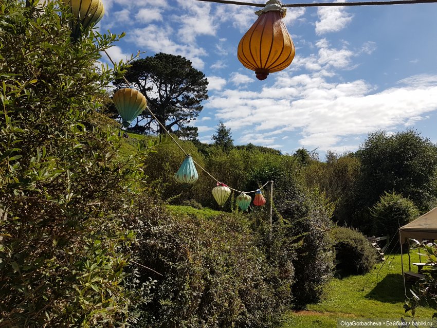 О Новой Зеландии — Туризм и путешествия: фотоотчеты из поездок