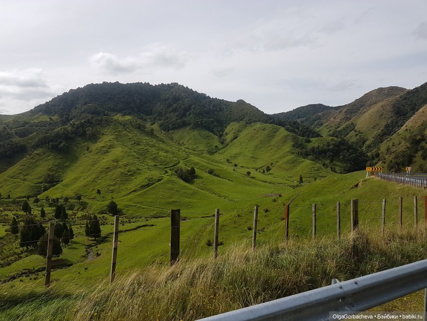О Новой Зеландии — Туризм и путешествия: фотоотчеты из поездок (фото 6)