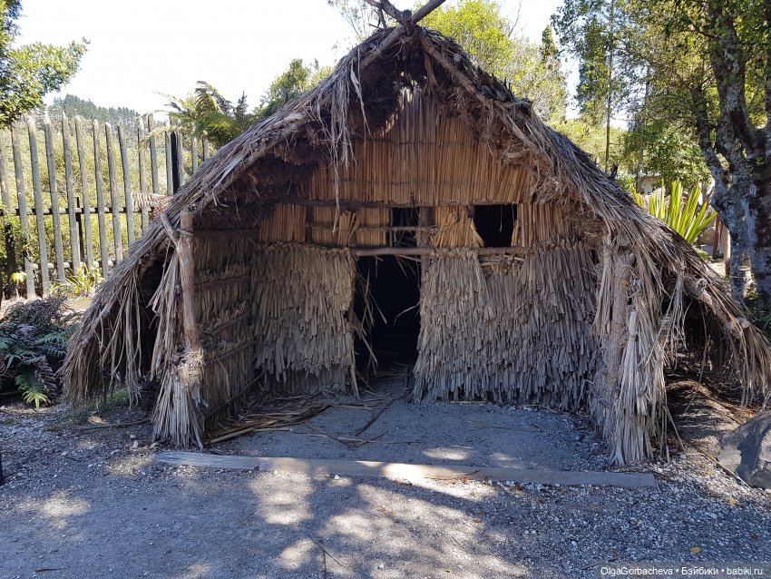 О Новой Зеландии. Маори, извержение вулканов и живая деревня (фото 8)