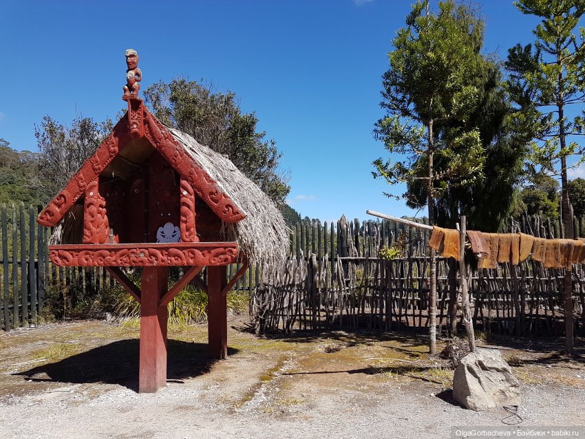 О Новой Зеландии. Маори, извержение вулканов и живая деревня (фото 9)