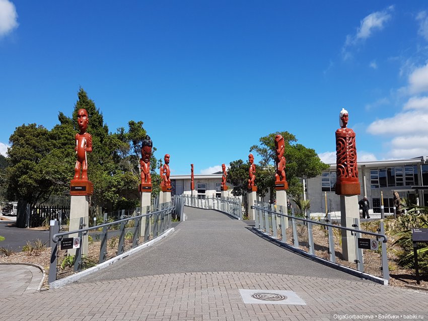 О Новой Зеландии. Маори, извержение вулканов и живая деревня (фото 7)