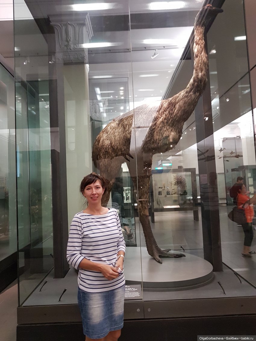 О Новой Зеландии. Маори, извержение вулканов и живая деревня