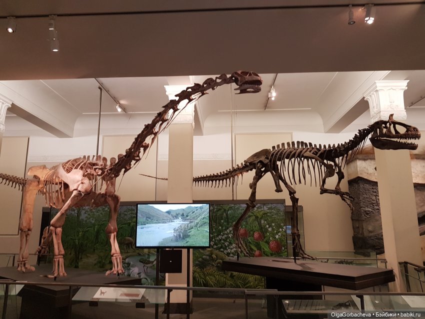 О Новой Зеландии. Маори, извержение вулканов и живая деревня