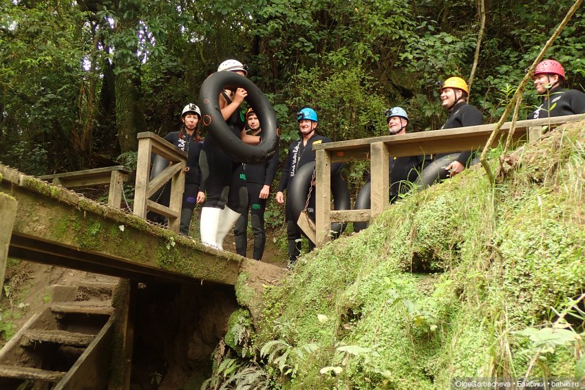 О Новой Зеландии. В пещере (фото 2)