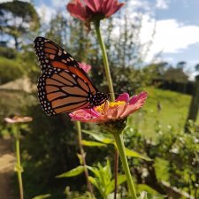 О Новой Зеландии. В пещере