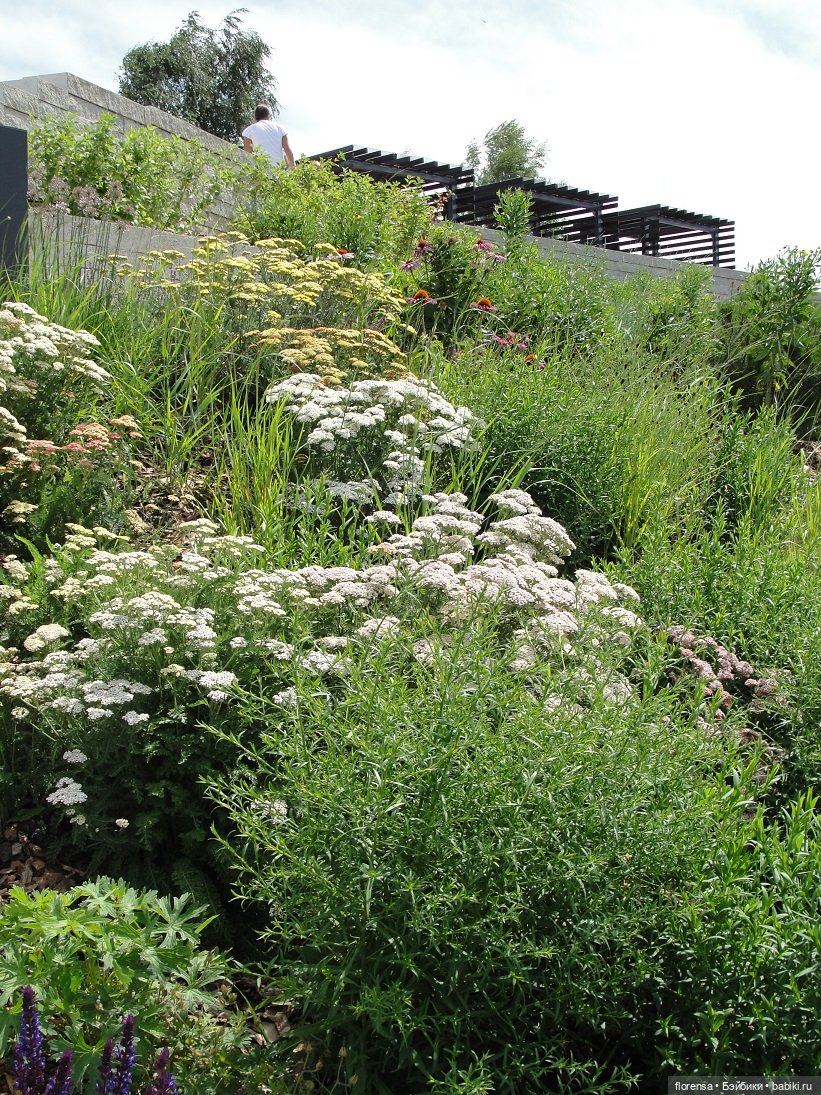 Варвара на Вертолетке — Куклы Paola Reina (Паола Рейна): новинки (фото 7)