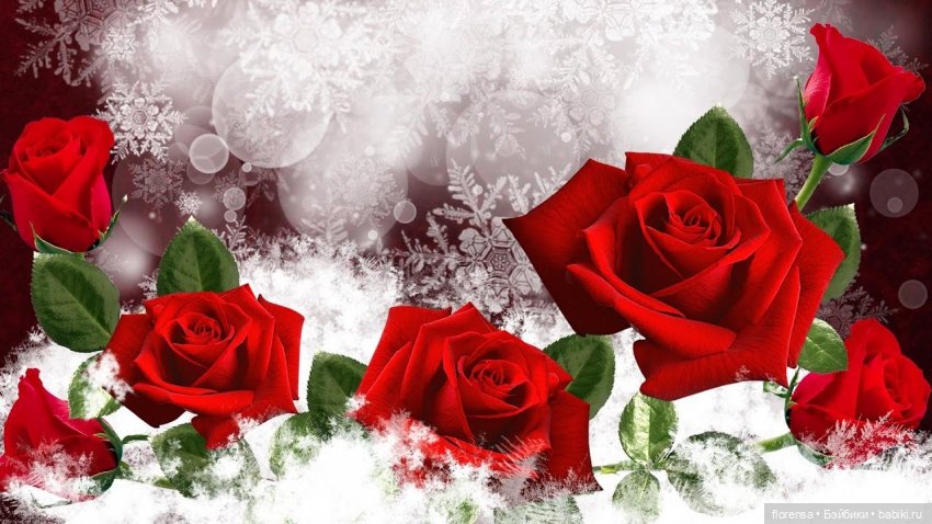 Зима и роза — Одежда и обувь для кукол своими руками: фото