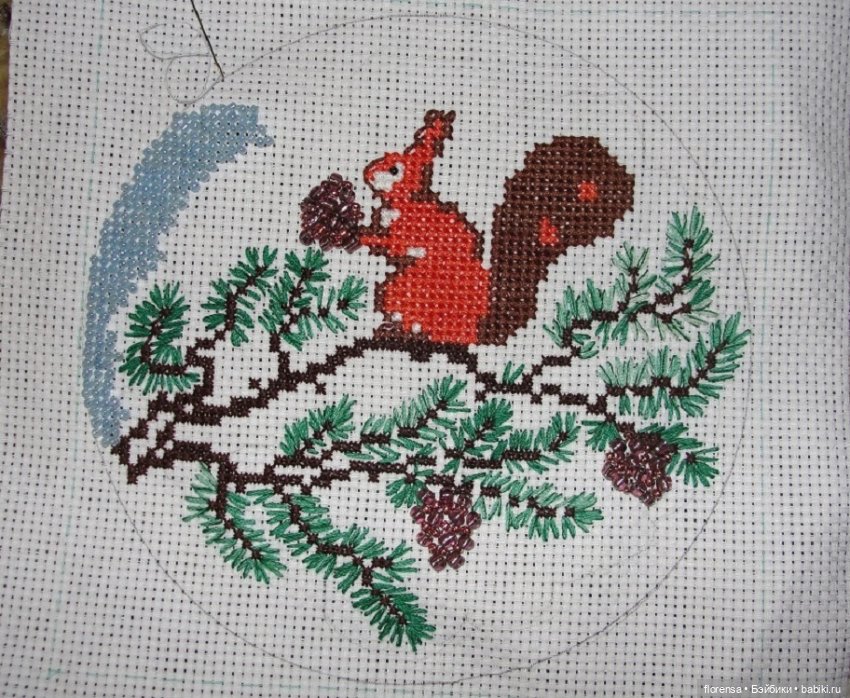 Белка песенки поёт, да орешки всё грызет (фото 3)