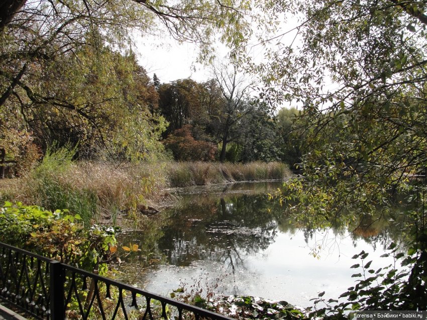 Осенние дорожки Ботанического сада | Бэйбики Осенние дорожки Ботанического сада (фото 8)