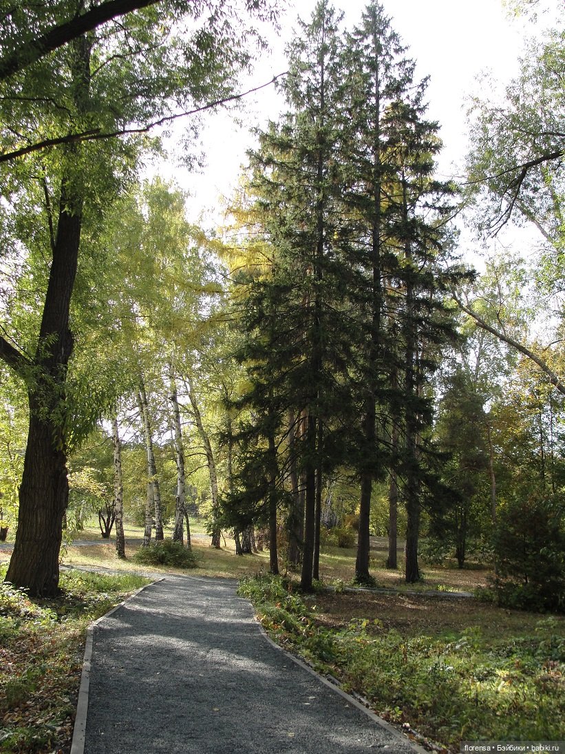 Осенние дорожки Ботанического сада