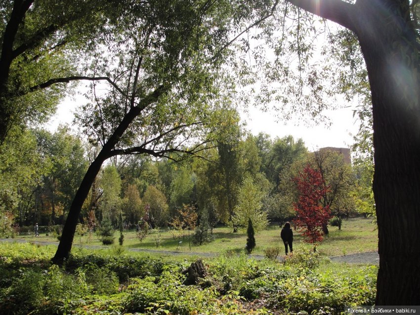 Осенние дорожки Ботанического сада | Бэйбики Осенние дорожки Ботанического сада