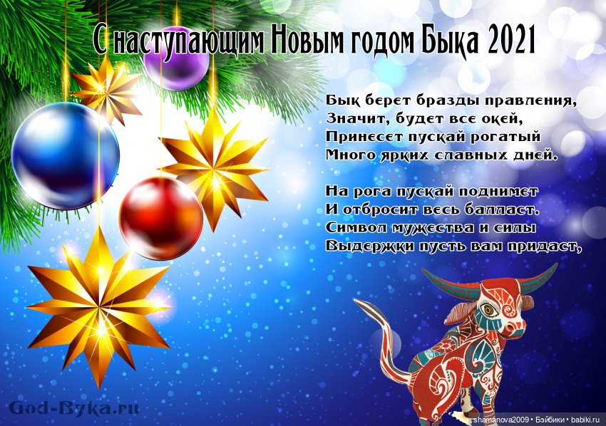 Мэйли - мой новогодний подарочек (фото 9)