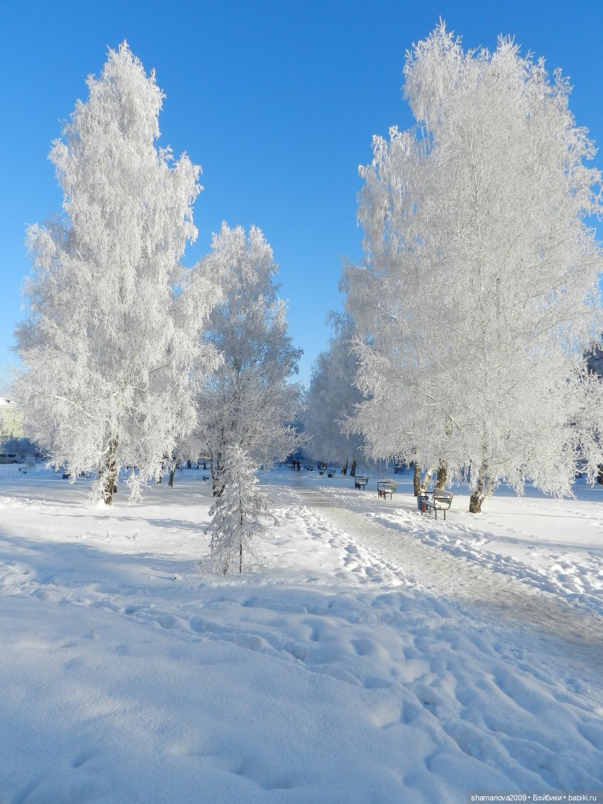 Зимний лесопарк Академгородка