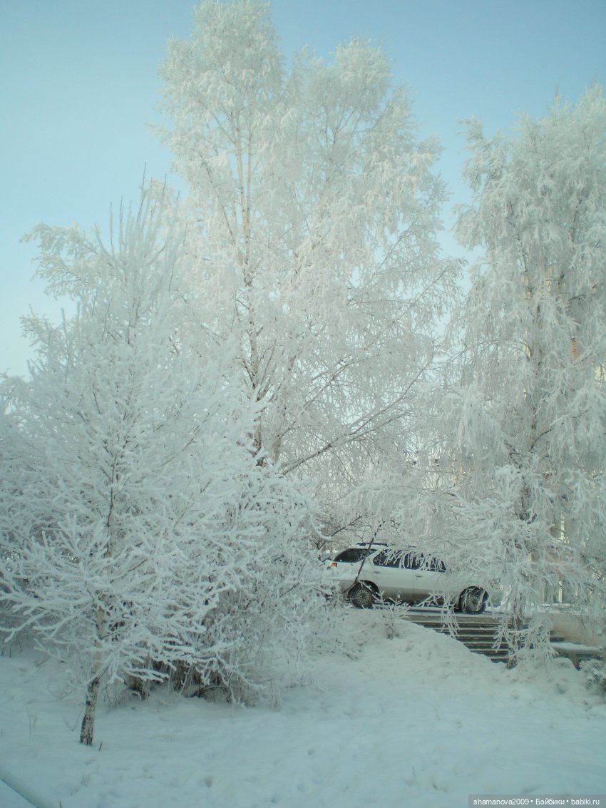 Зимний лесопарк Академгородка