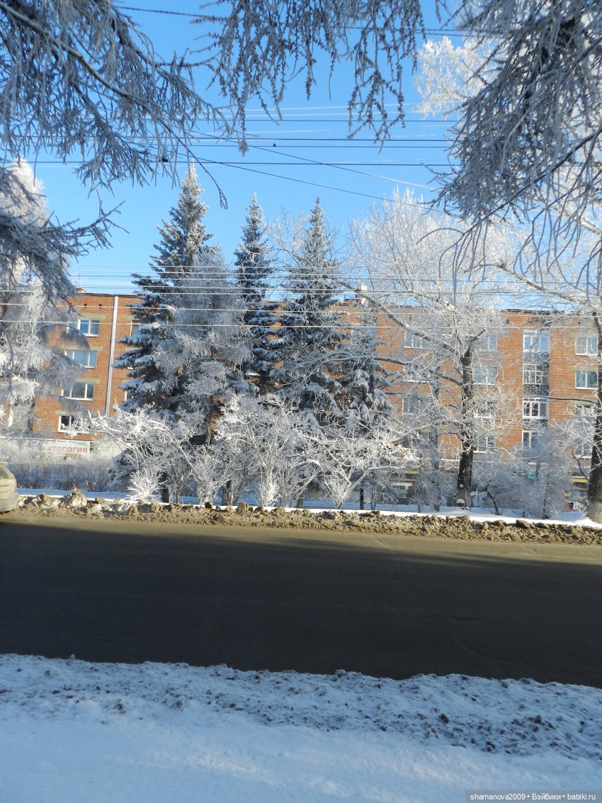Зимний лесопарк Академгородка
