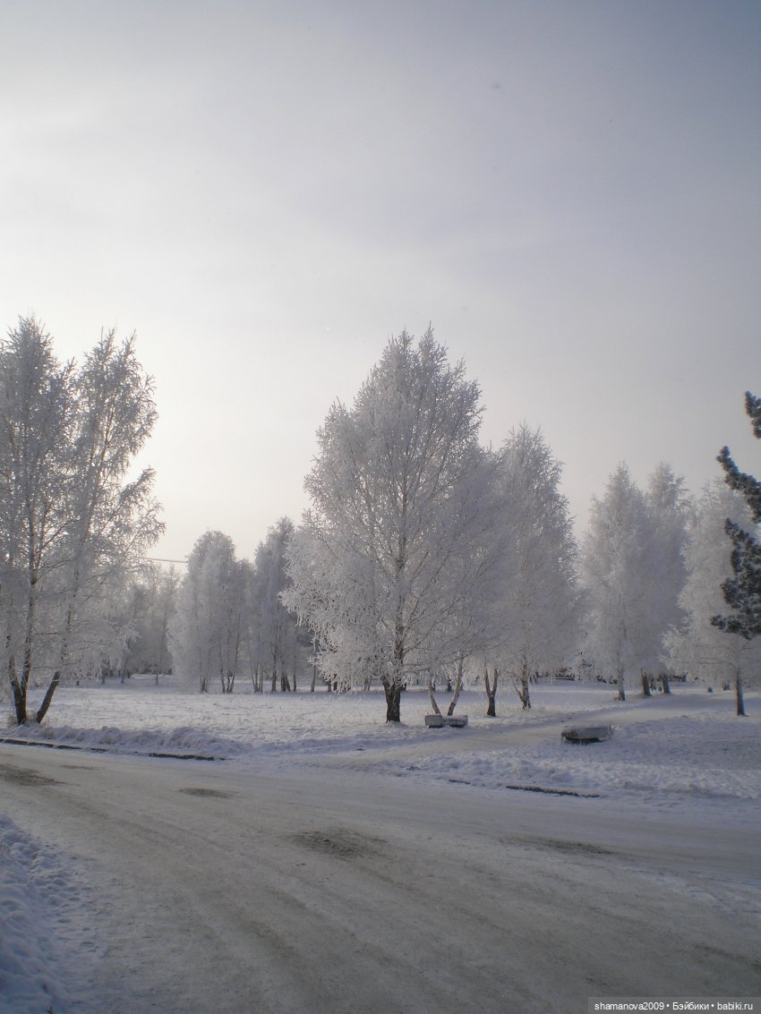 Зимний лесопарк Академгородка