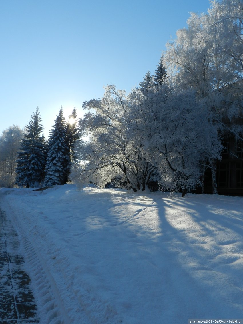 Зимний лесопарк Академгородка