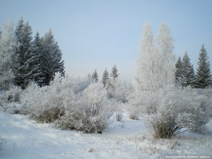 Зимний лесопарк Академгородка
