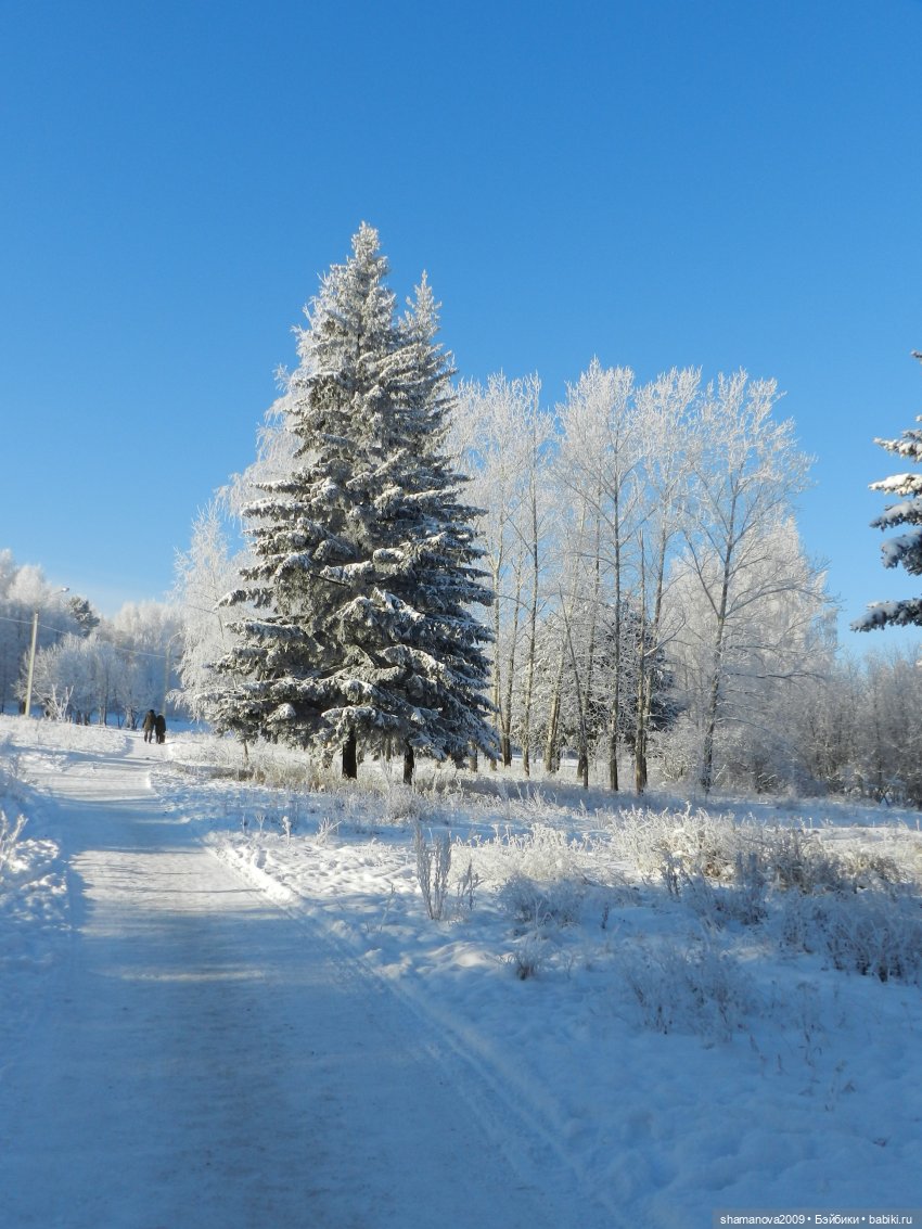 Зимний лесопарк Академгородка