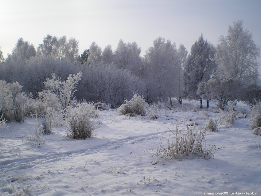 Зимний лесопарк Академгородка