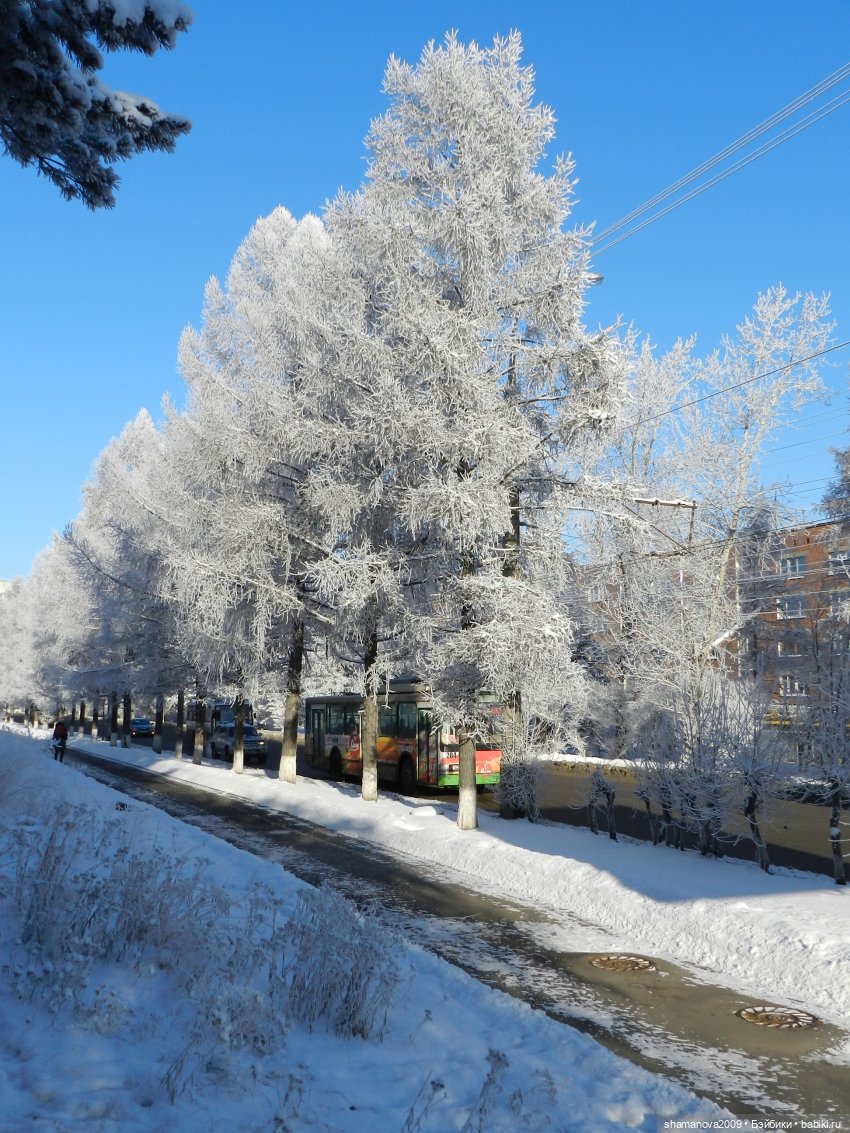 Зимний лесопарк Академгородка