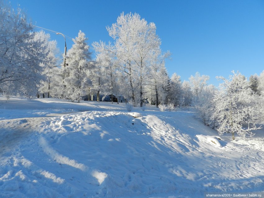Зимний лесопарк Академгородка (фото 4)