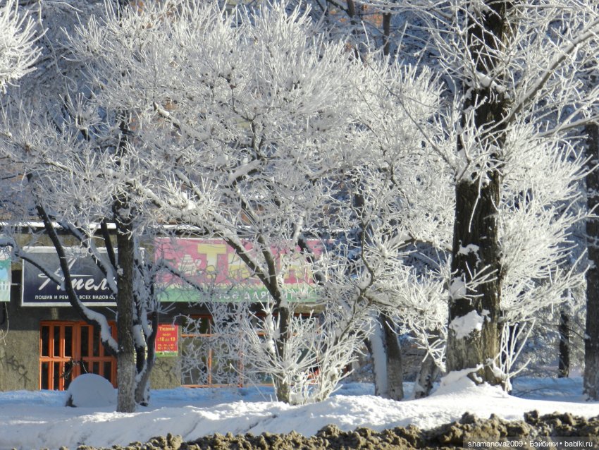 Зимний лесопарк Академгородка