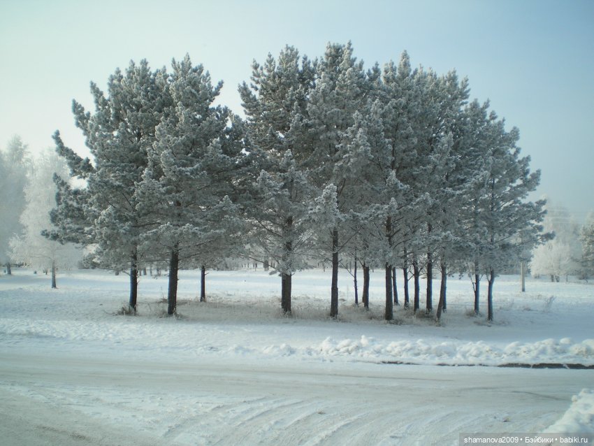 Зимний лесопарк Академгородка