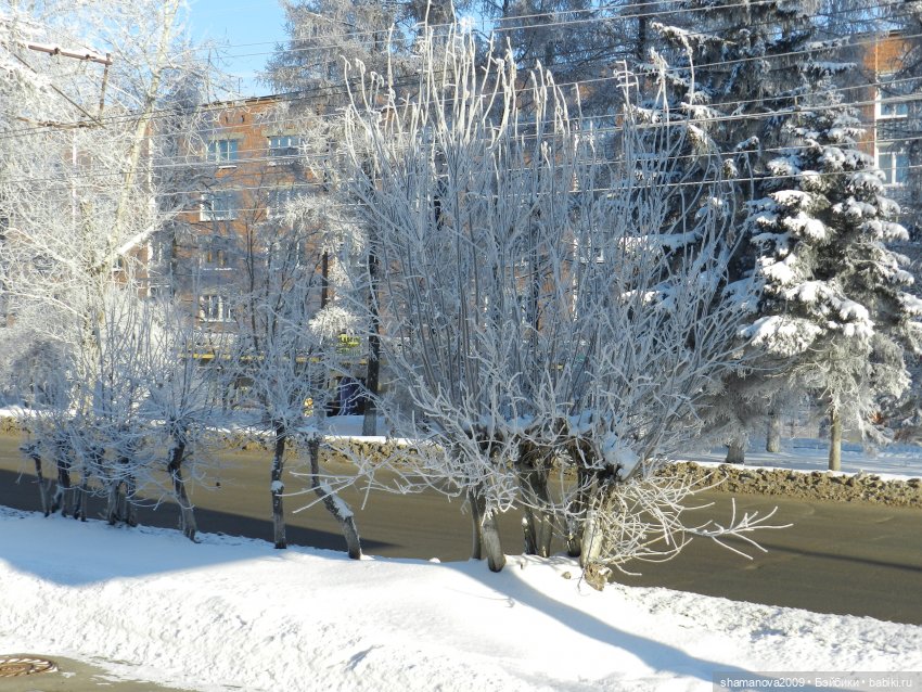 Зимний лесопарк Академгородка