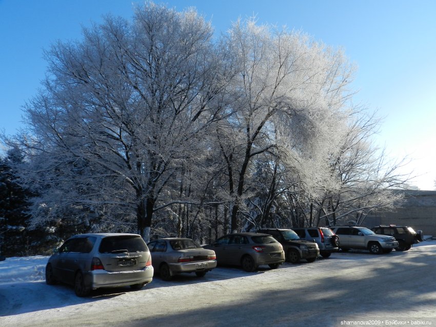 Зимний лесопарк Академгородка