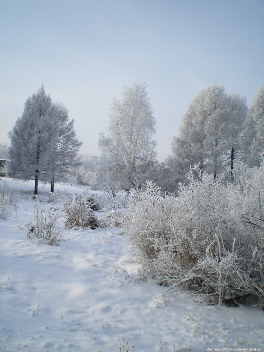 Зимний лесопарк Академгородка