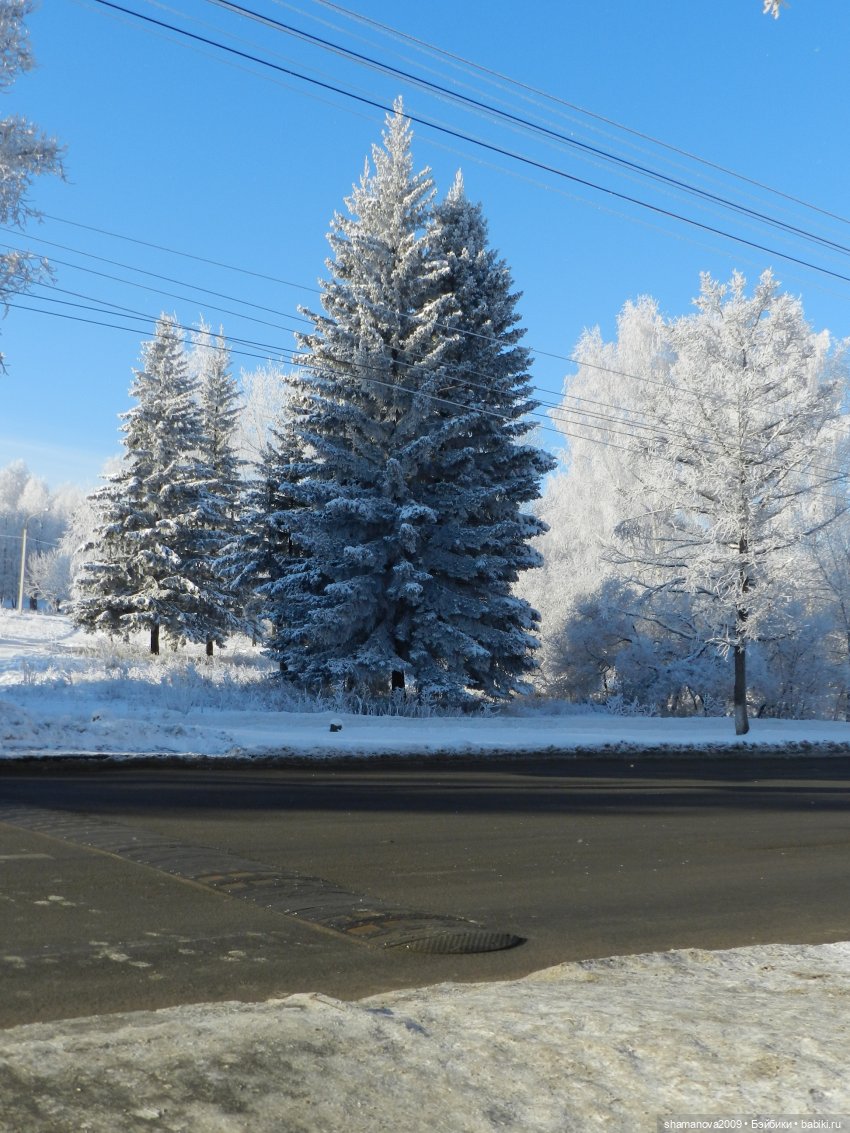 Зимний лесопарк Академгородка (фото 9)