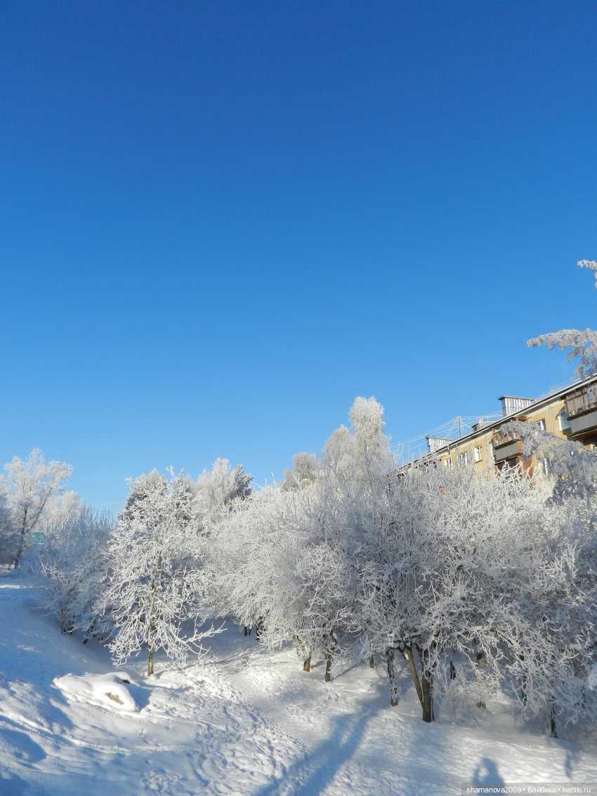 Зимний лесопарк Академгородка (фото 5)