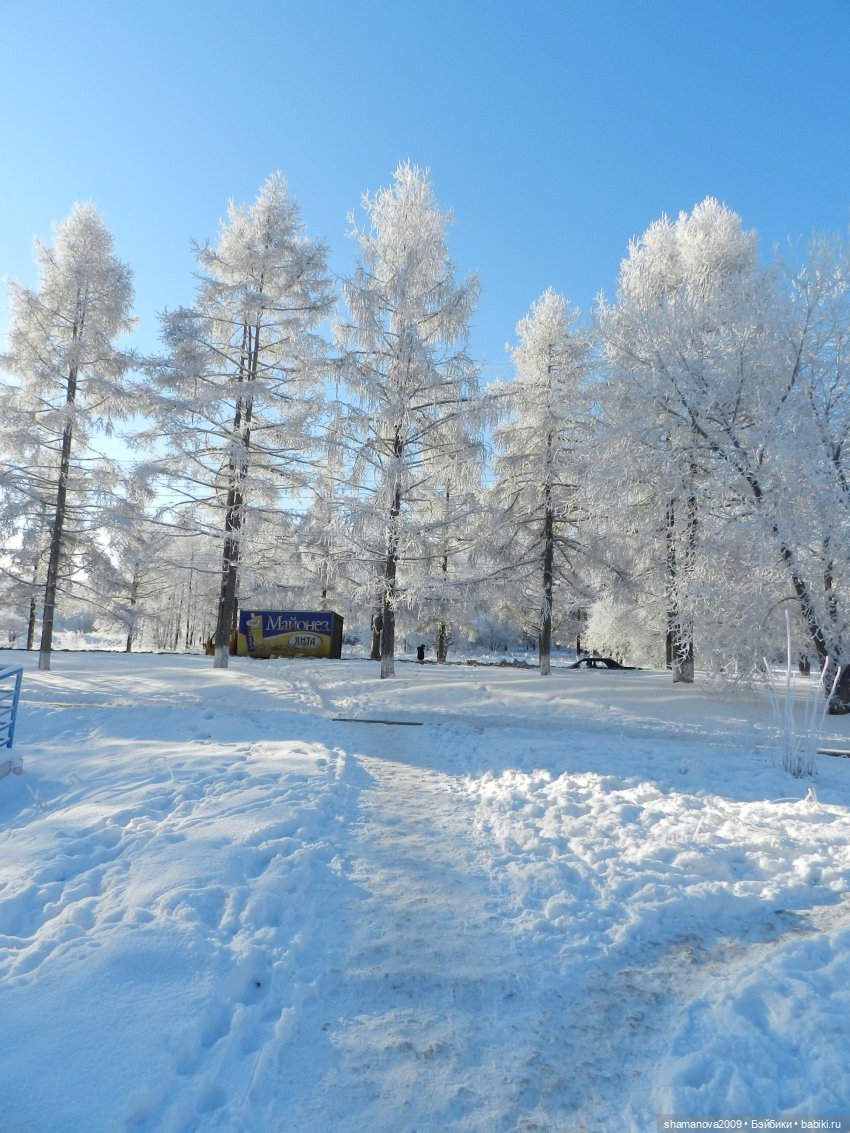 Зимний лесопарк Академгородка (фото 6)