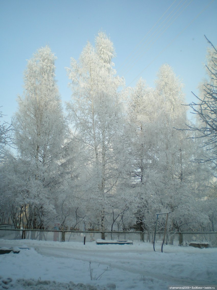 Зимний лесопарк Академгородка