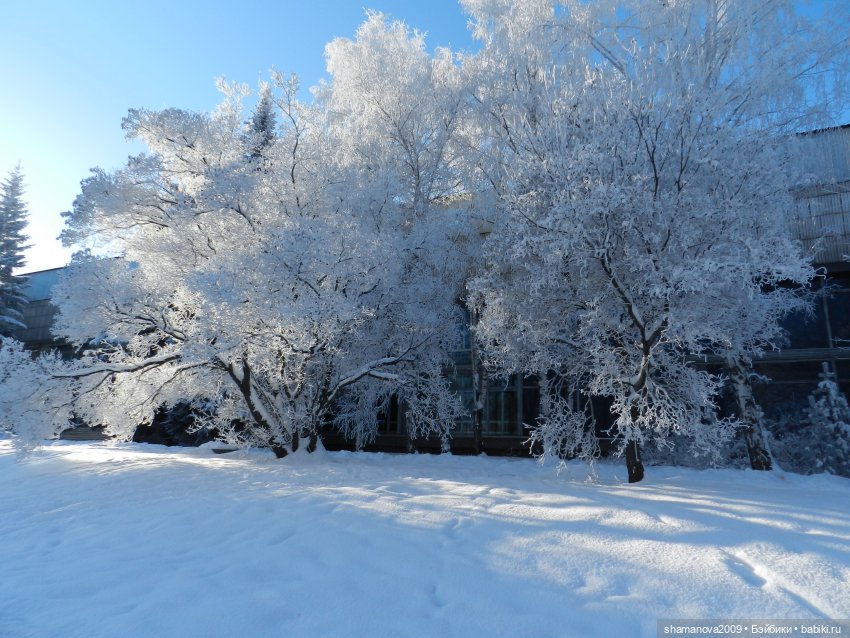 Зимний лесопарк Академгородка