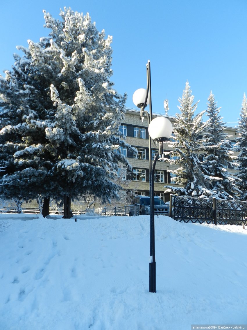 Зимний лесопарк Академгородка