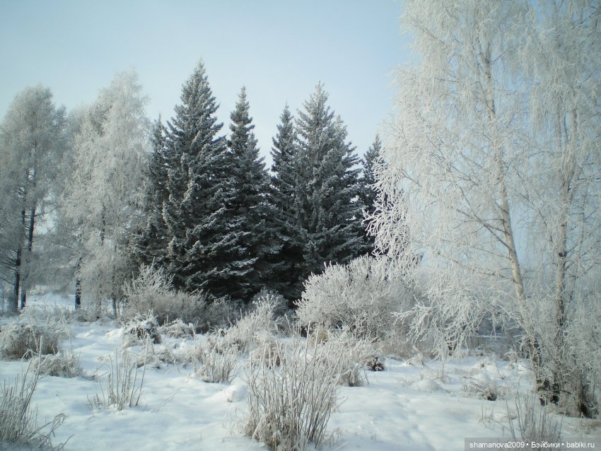 Зимний лесопарк Академгородка