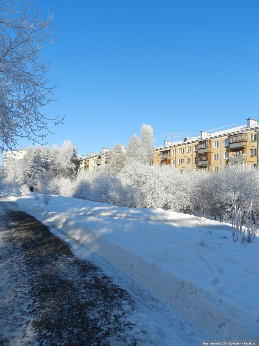 Зимний лесопарк Академгородка (фото 7)